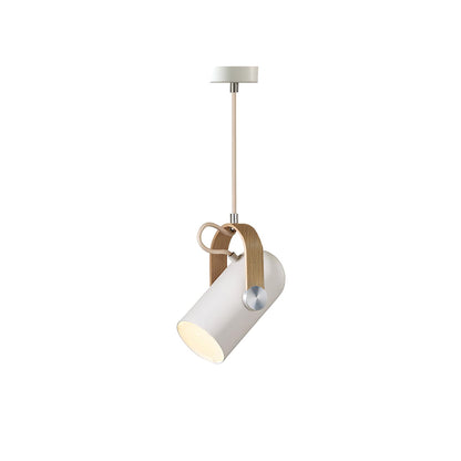 Vintage Metal Pendant Light for LED Bulbs - Fesara