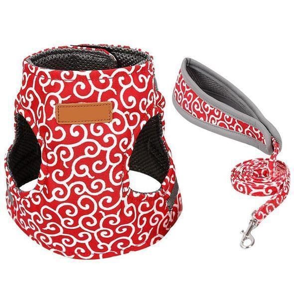 Fesara | Cute Kitty Walking Harness Set
