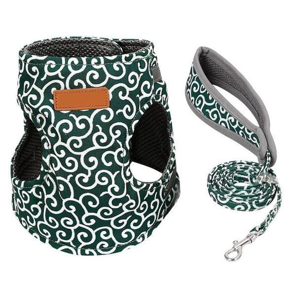 Fesara | Cute Kitty Walking Harness Set
