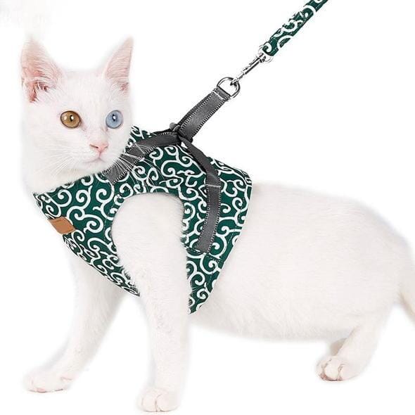 Fesara | Cute Kitty Walking Harness Set