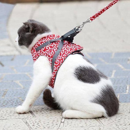 Fesara | Cute Kitty Walking Harness Set