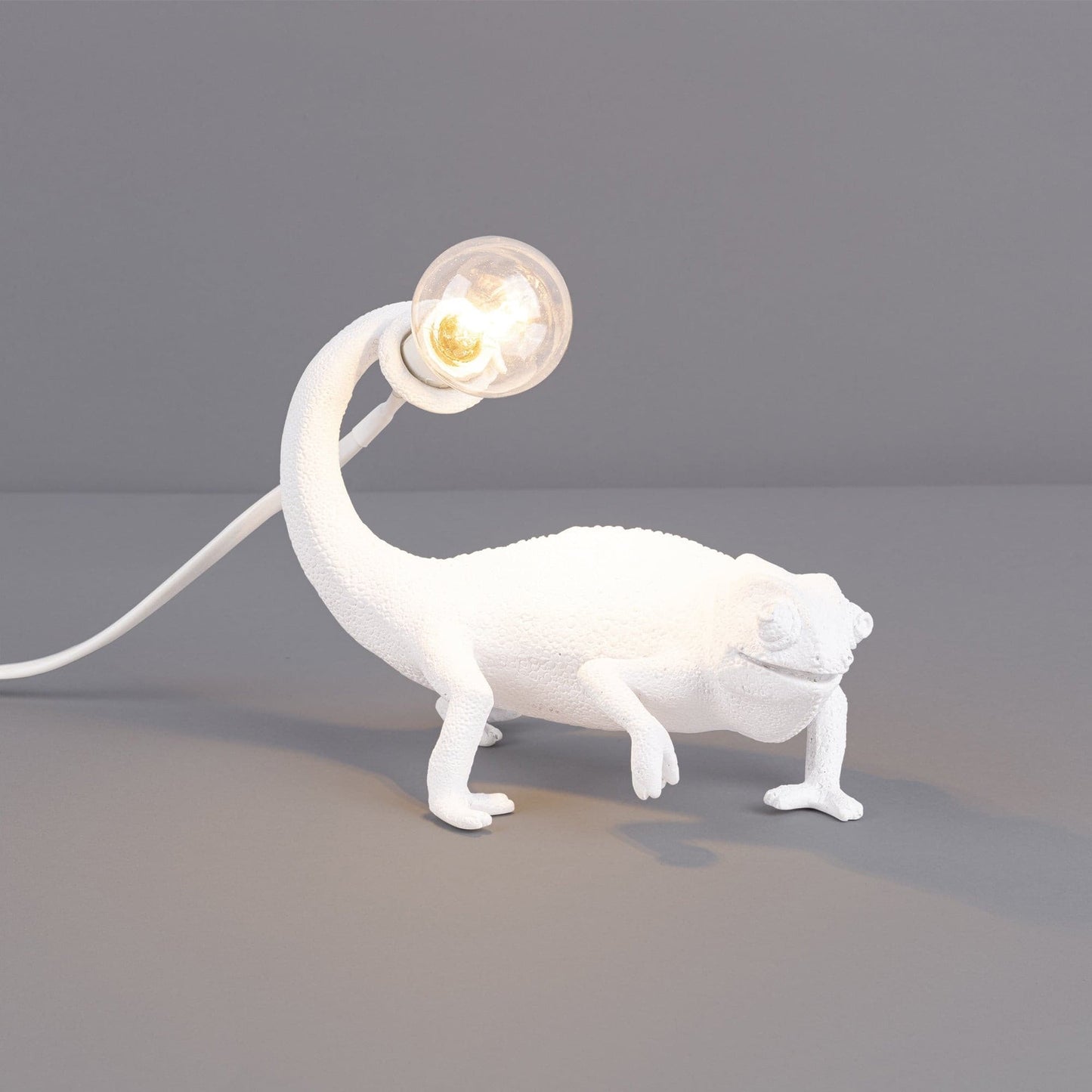 Colorful Animal Resin Table Lamp