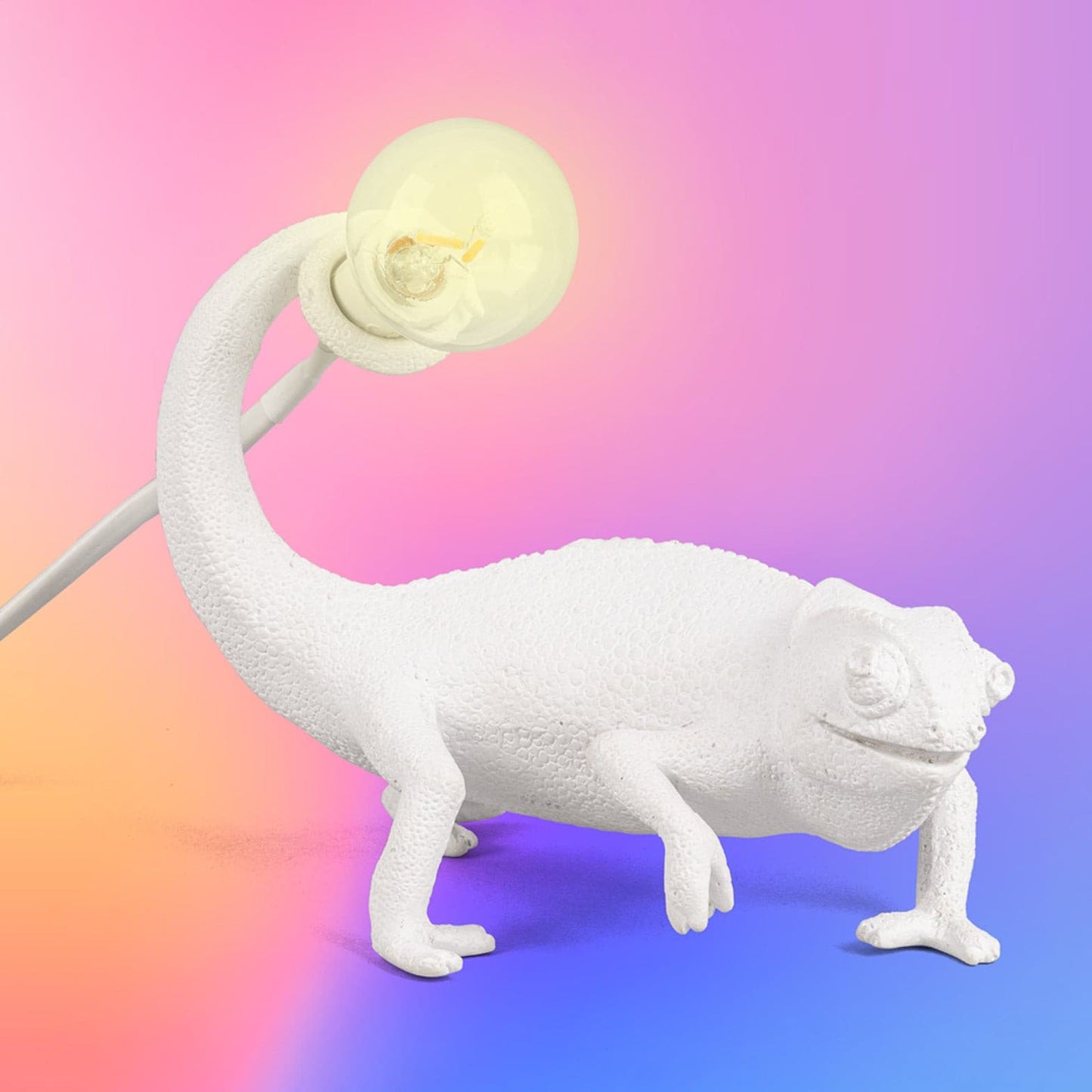 Colorful Animal Resin Table Lamp