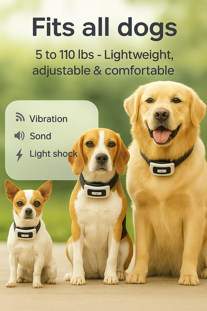 Easy Pet Fence System with Remote Trainer Collar