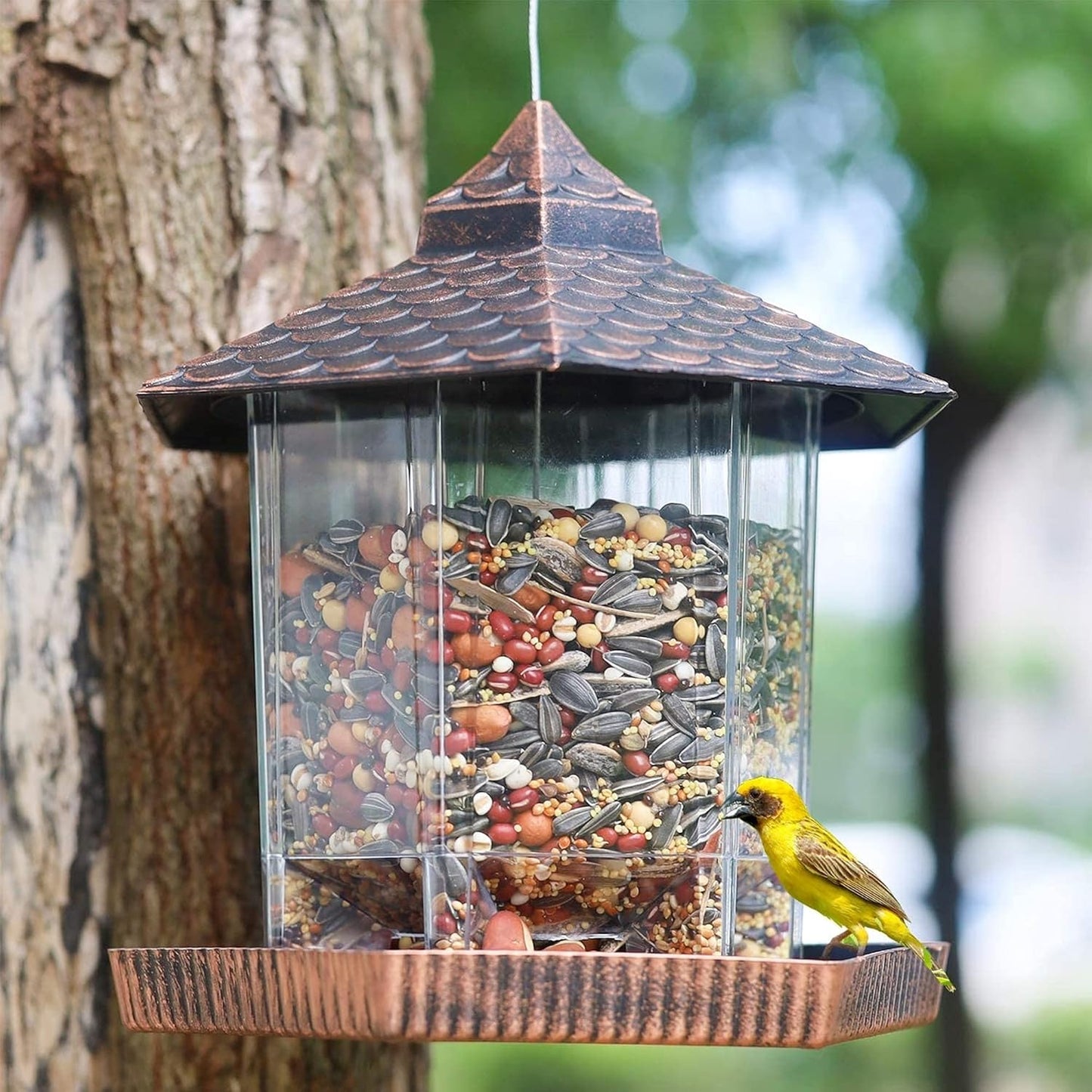 Rustic Bird Feeder with Metal Roof Outdoor