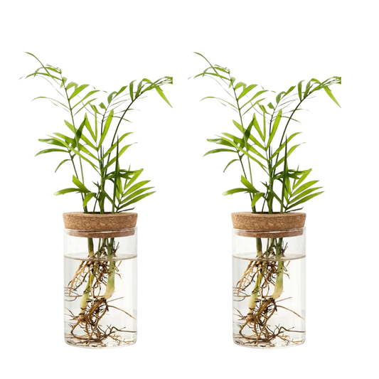 Elegant Floral Planter - Fesara