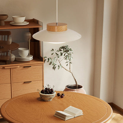 Unique Asian Inspired Rice Bowl Pendant Lamp