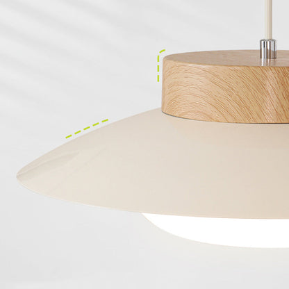 Unique Asian Inspired Rice Bowl Pendant Lamp