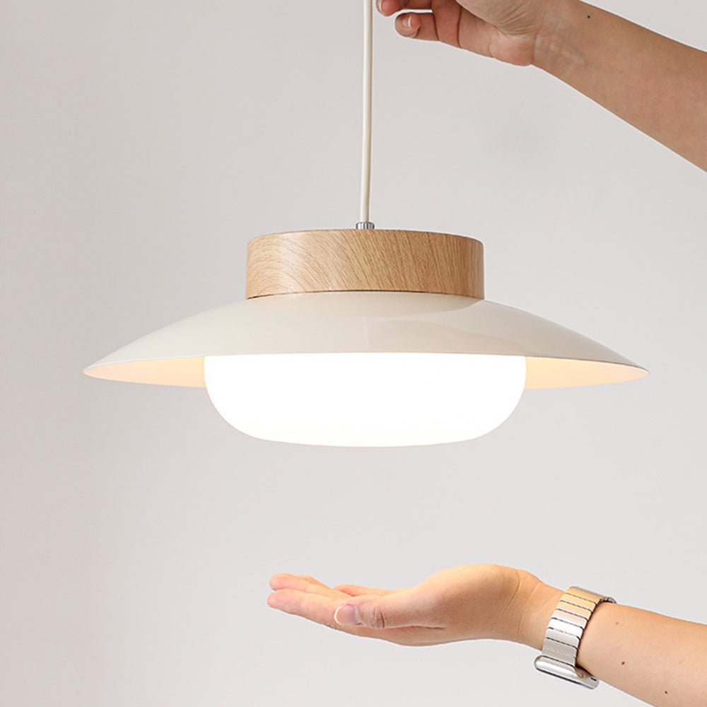 Unique Asian Inspired Rice Bowl Pendant Lamp