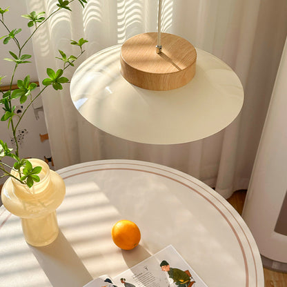 Unique Asian Inspired Rice Bowl Pendant Lamp