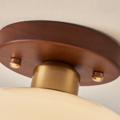 Modern Industrial Style LED Ceiling Lamp