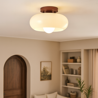 Modern Industrial Style LED Ceiling Lamp - Fesara