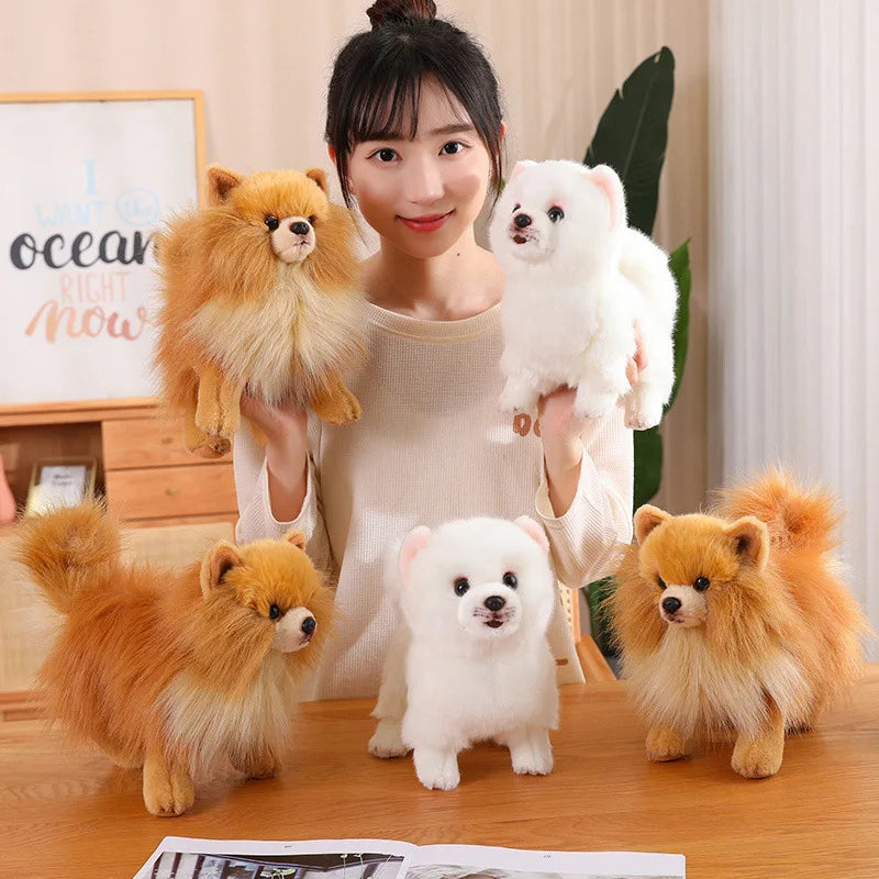 Adorable Soft Pomeranian Stuffed Animal Toy - Fesara
