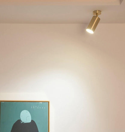 Stylish Gold Dual Head Adjustable Wall Light
