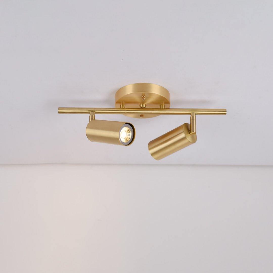 Stylish Gold Dual Head Adjustable Wall Light