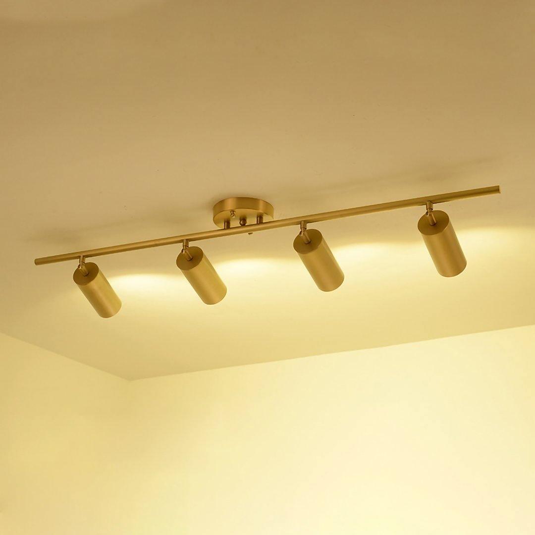 Stylish Gold Dual Head Adjustable Wall Light