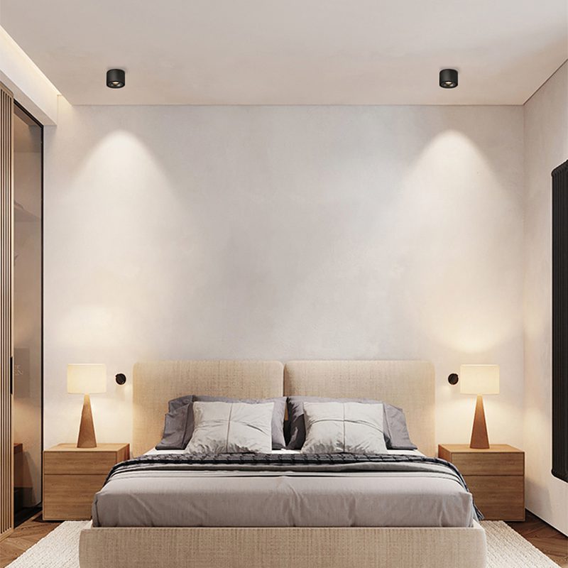 Flexible Dimmable Recessed LED Ceiling Light