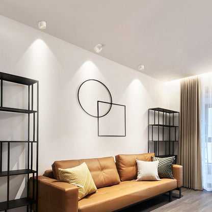 Flexible Dimmable Recessed LED Ceiling Light