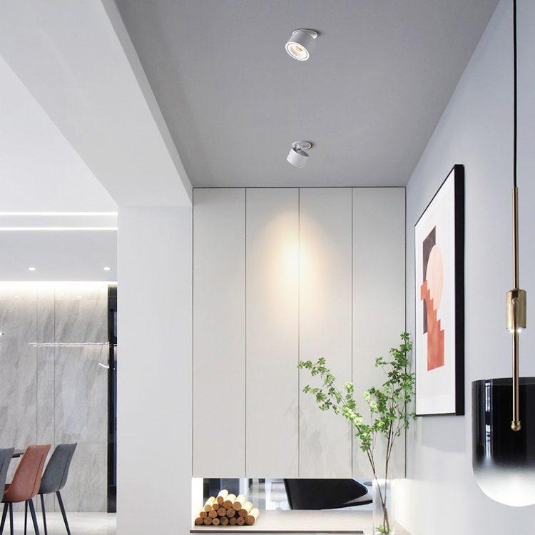 Flexible Dimmable Recessed LED Ceiling Light