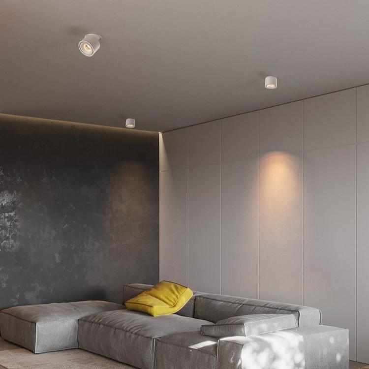 Flexible Dimmable Recessed LED Ceiling Light