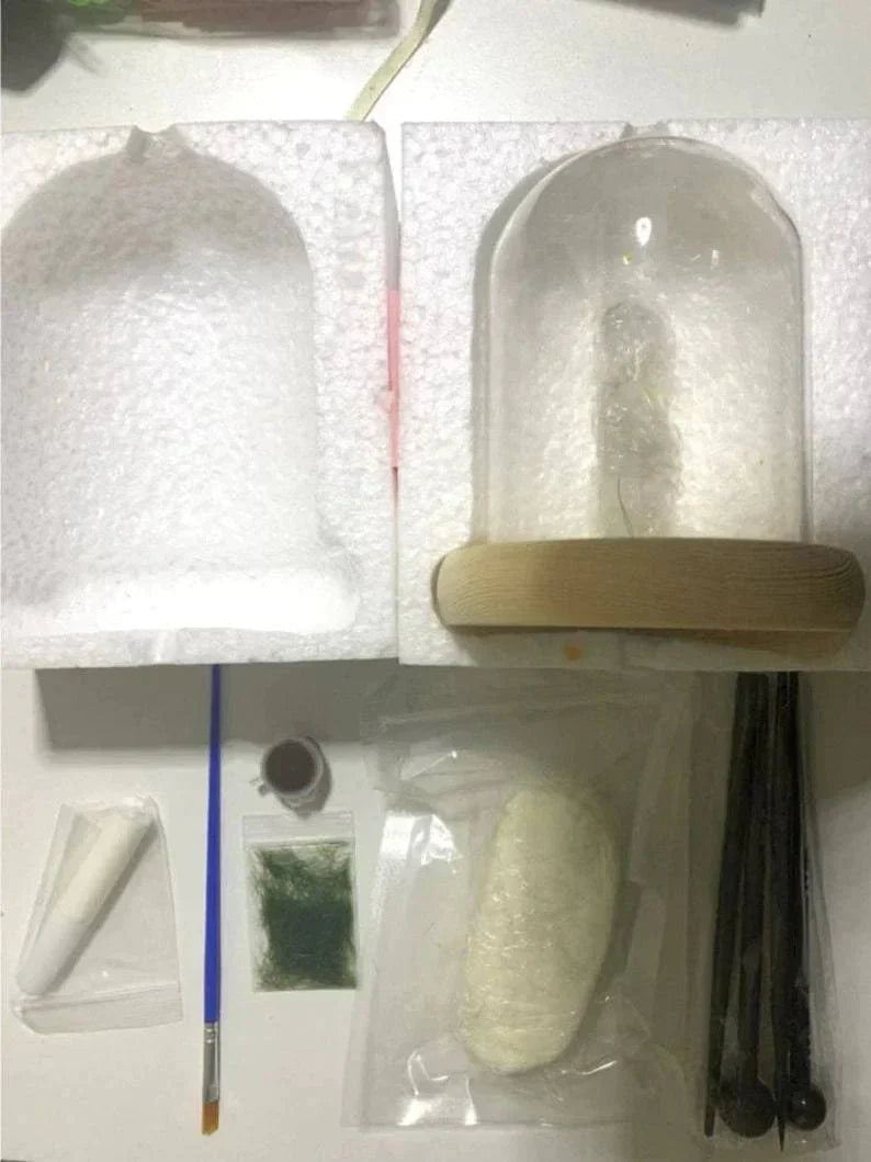 Easy Grow Mushroom Kit - Glass DIY Terrarium Set