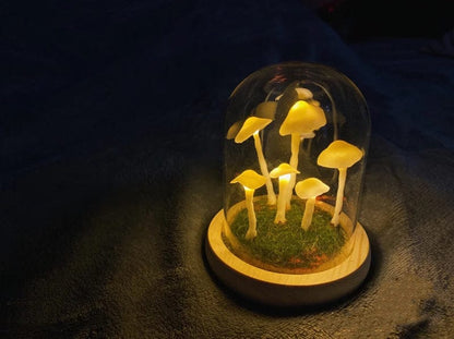 Easy Grow Mushroom Kit - Glass DIY Terrarium Set