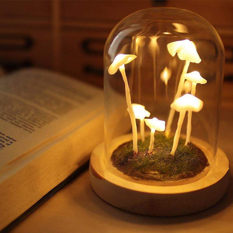 Easy Grow Mushroom Kit - Glass DIY Terrarium Set - Fesara