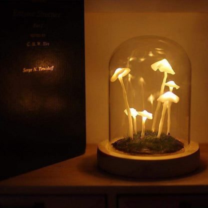 Easy Grow Mushroom Kit - Glass DIY Terrarium Set