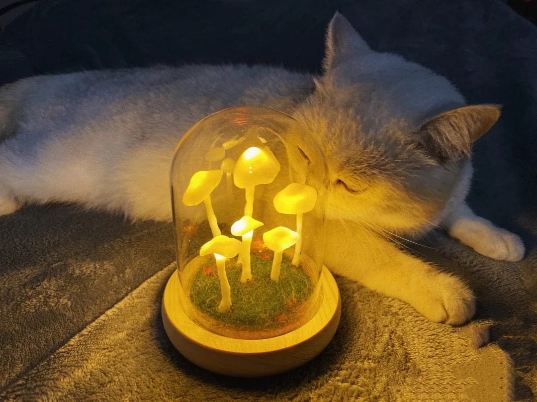 Easy Grow Mushroom Kit - Glass DIY Terrarium Set