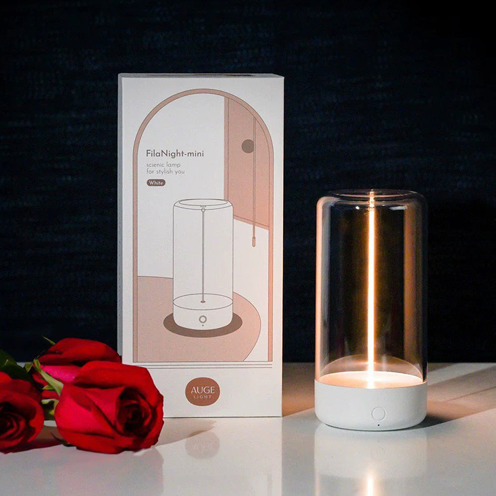 Portable Rechargeable LED Desk Lamp