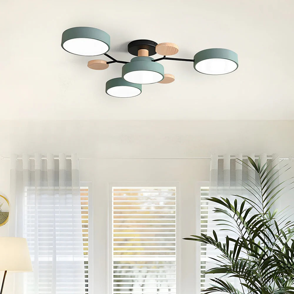 Sleek LED Ceiling Fixture Home Lighting