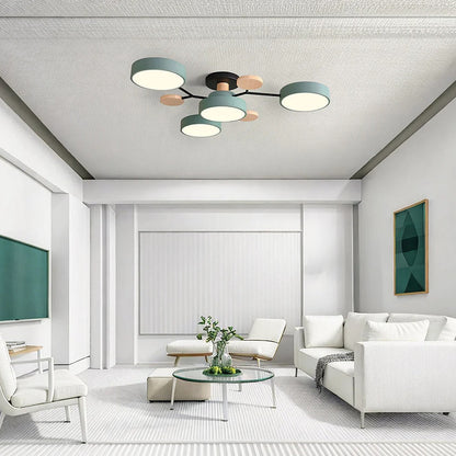 Sleek LED Ceiling Fixture Home Lighting