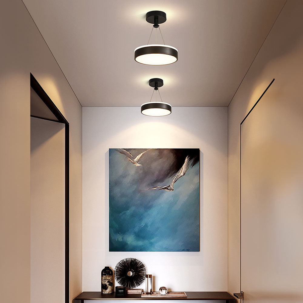 Sleek Modern Black Gold Pendant Light