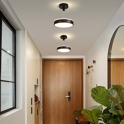 Sleek Modern Black Gold Pendant Light