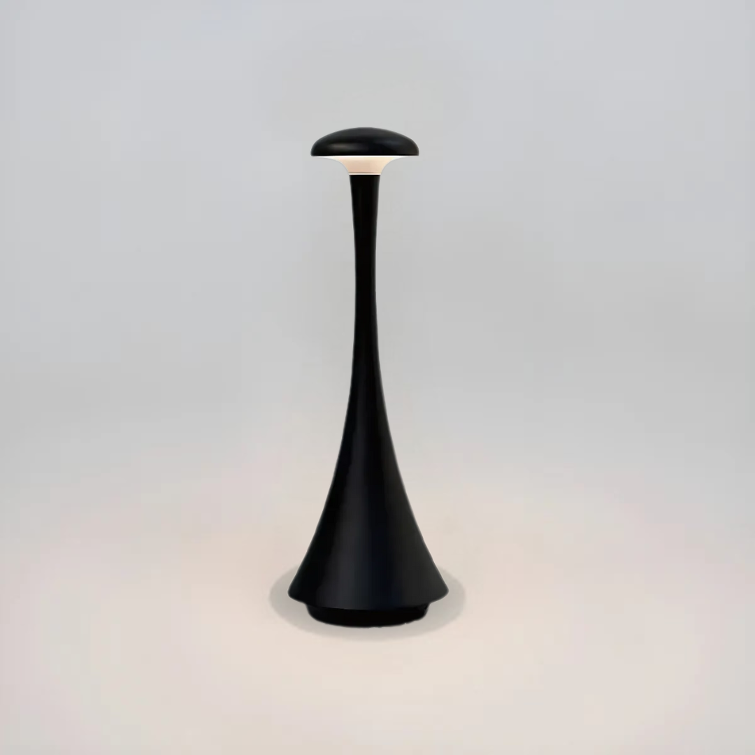 Bright Portable Desk Light
