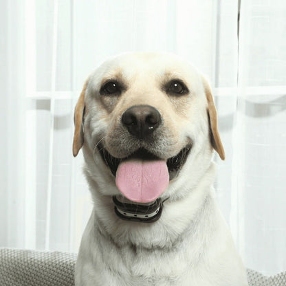 Easy Pet Wireless Fence & Training Collar System