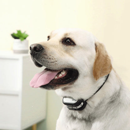 Easy Pet Wireless Fence & Training Collar System