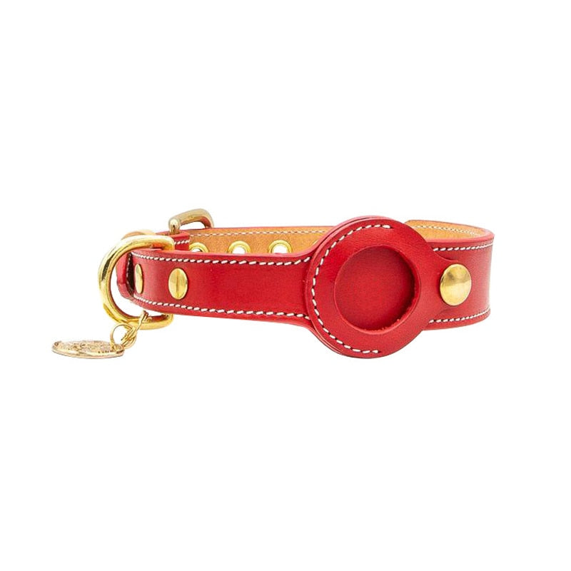 Dog Collar with AirTag Holder | Real-Time GPS Tracking & Adjustable Fit for All Breeds 2