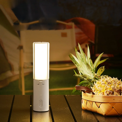 Portable LED Camp Light with Adjustable Brightness