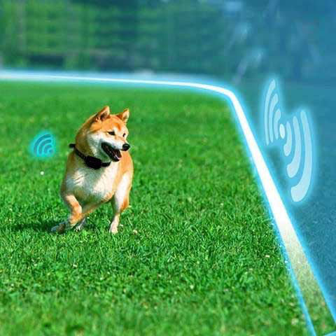 Easy Install Pet Fence System – Rechargeable Wireless Dog Containment