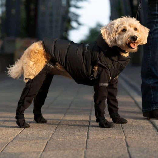 Durable Dog Boots | Waterproof All-Weather Boots for Snow, Rain & Outdoor Adventures 3