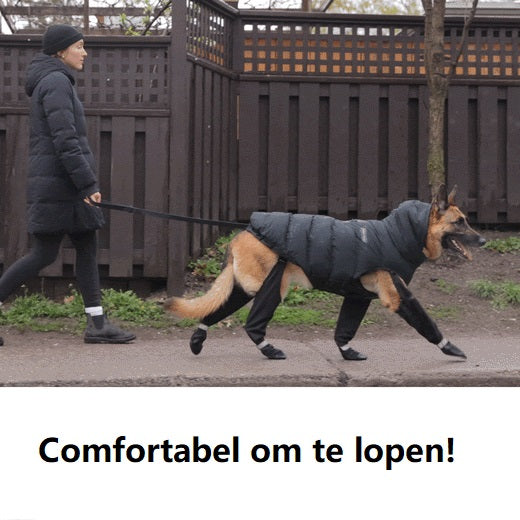 Durable Dog Boots | Waterproof All-Weather Boots for Snow, Rain & Outdoor Adventures 4