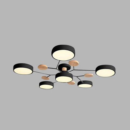 Sleek LED Ceiling Fixture Home Lighting