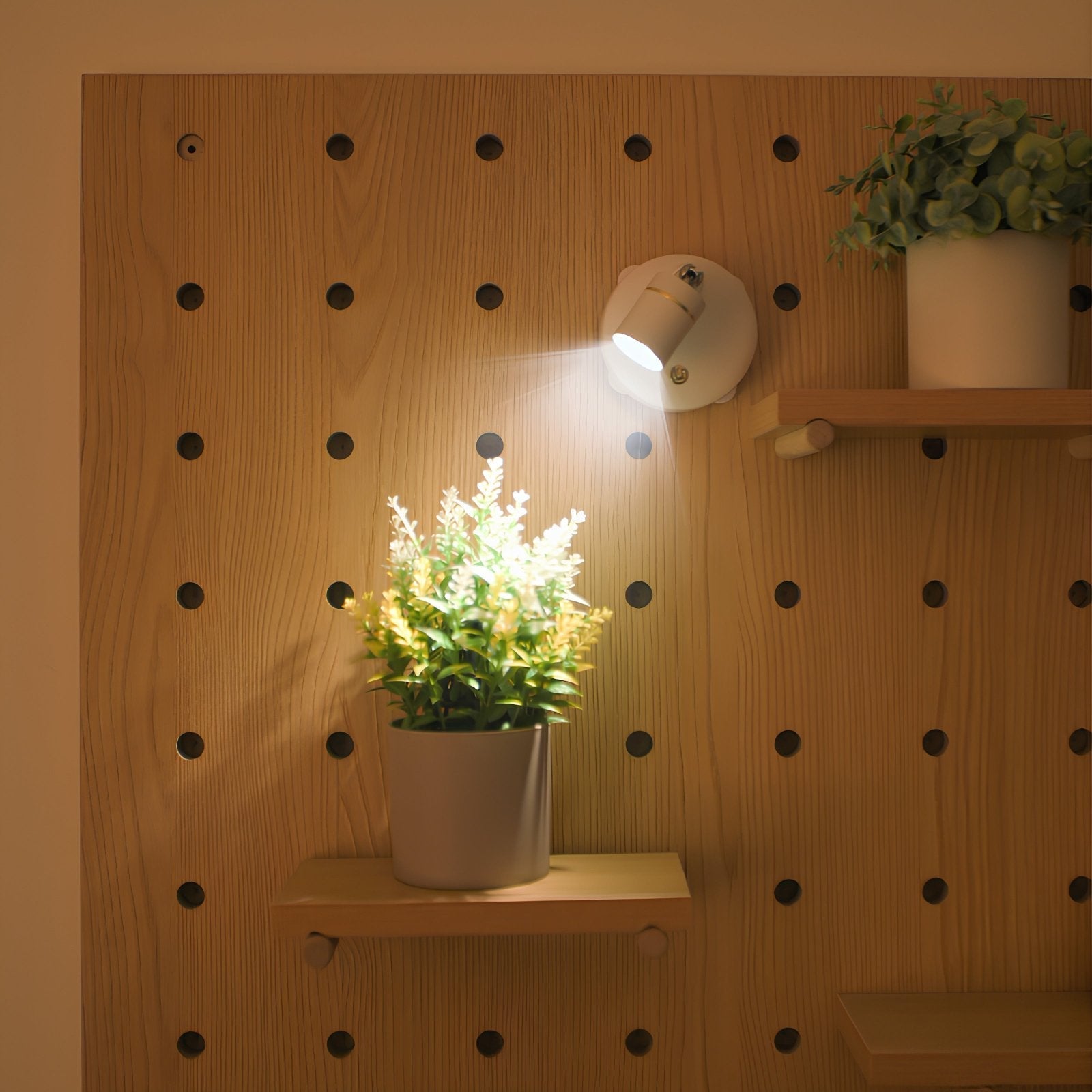 Easy Fit Dimmable LED Wall Light with Remote - Fesara