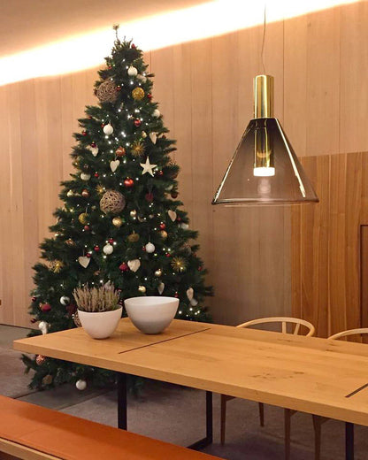Beautiful LED Ceiling Light