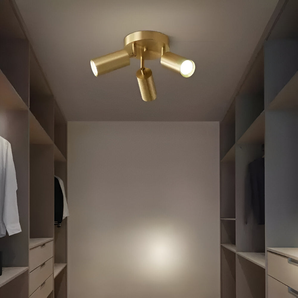 Luxury Brass LED Ceiling Light Modern Style