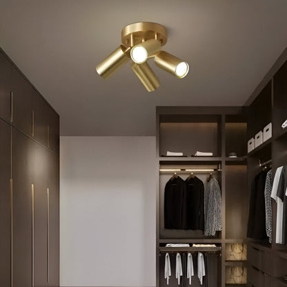 Luxury Brass LED Ceiling Light Modern Style