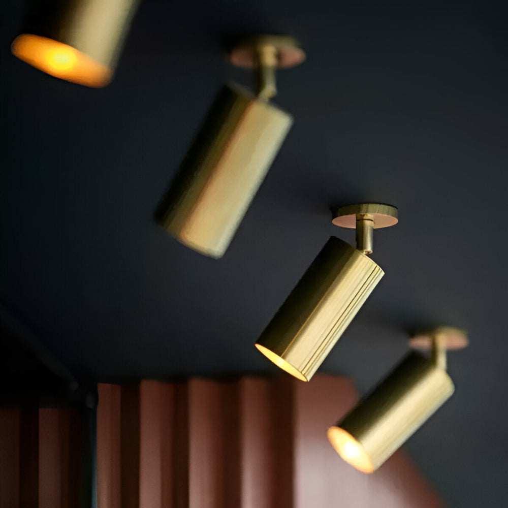 Luxury Brass LED Ceiling Light Modern Style