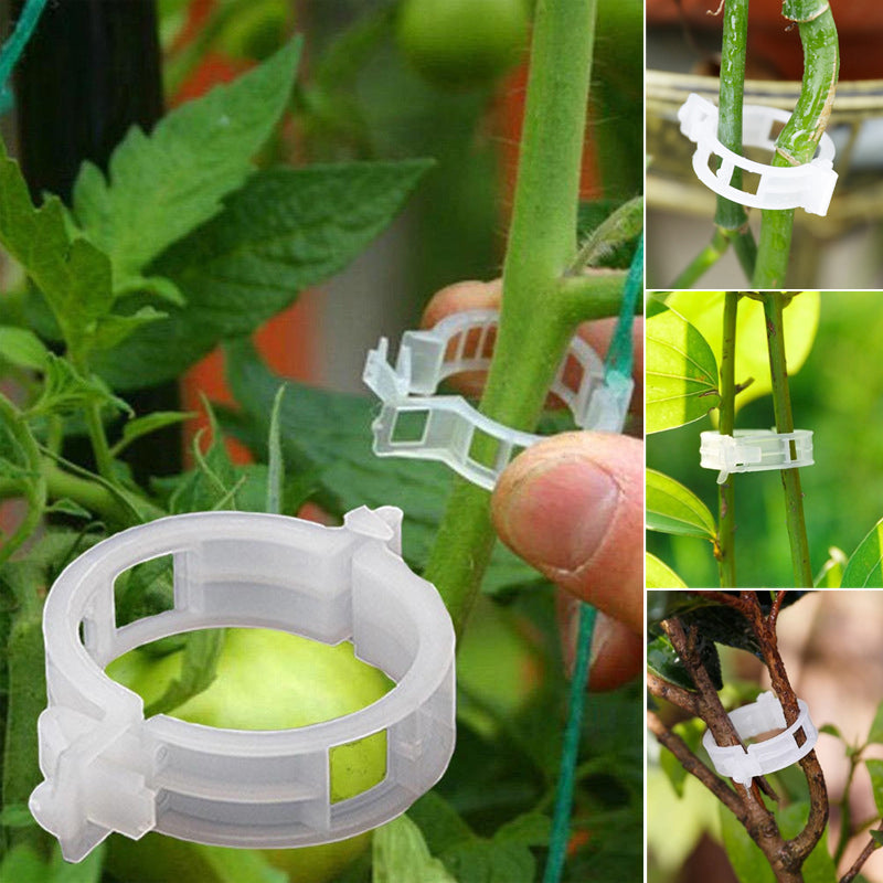 Easy Plant Holder Clip