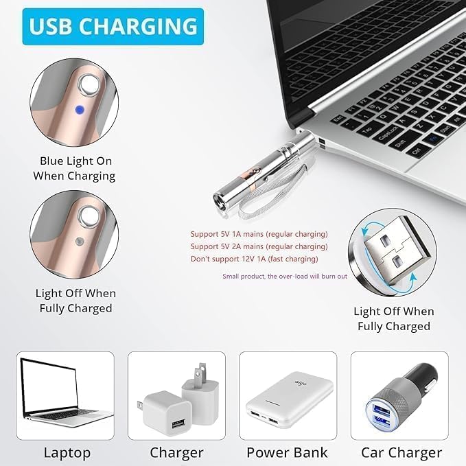 FelineBeam | Interactive Rechargeable Stainless Steel Cat Laser Toy 5